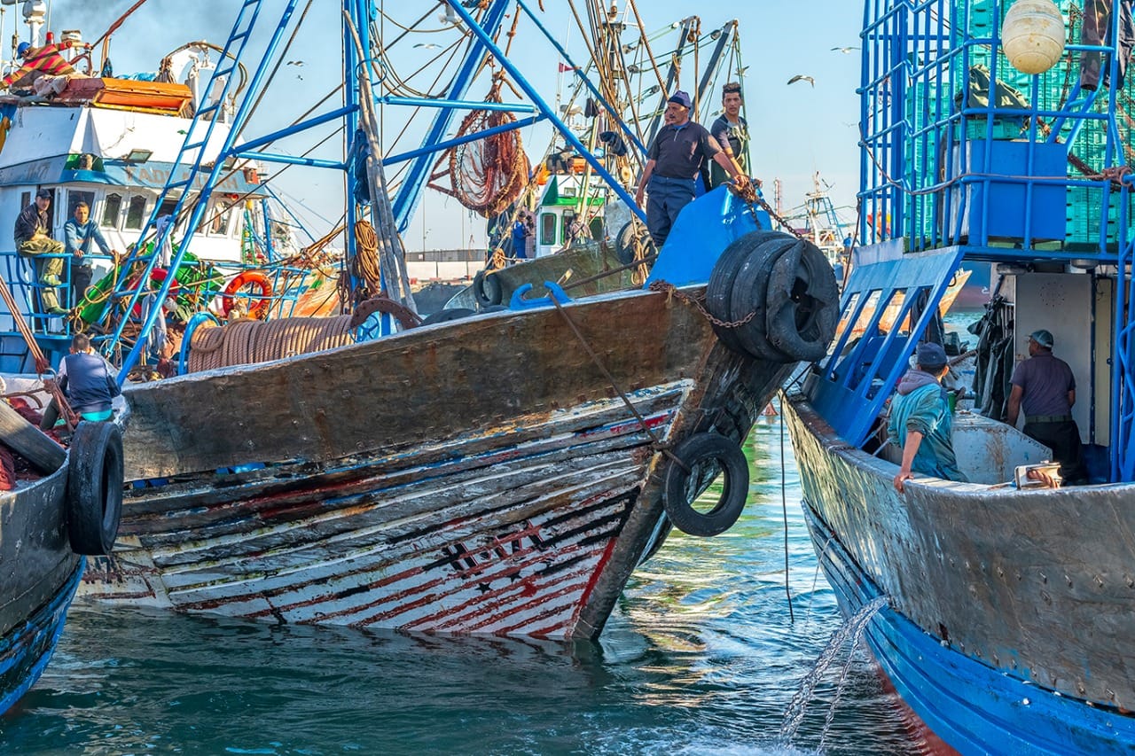 Agence de photographie / Agence Imaginium / Oussama Rhaleb / Photographe professionnel / Paysage / Morocco / Sud / Maroc / Dakhla / Assa / Photo / Esmara / Laayoun / Guelmim / nature / Desert / Guelmim / tan tan / Imlili / tourisme / maroc / Terfaya / / Rabat / Casablanca / Photo Magazine / Patrimoine / publicité / Historique / Histoire / Dunes / Sud maroc / Sahraoui / Artisanat / shooting / Patrimoine / publicité / fish / poisson / pêche / pêcheur / fisherman / mer / océan