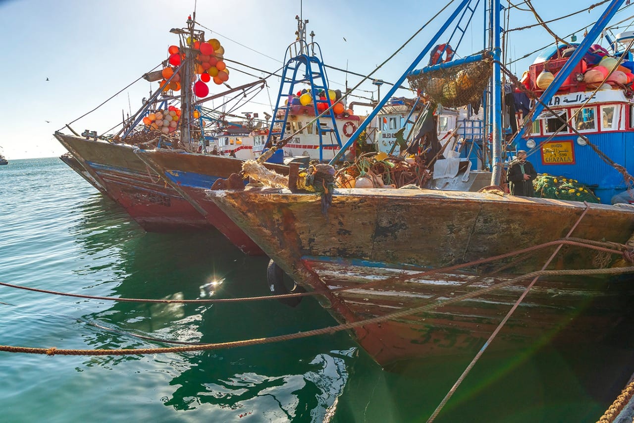 Agence de photographie / Agence Imaginium / Oussama Rhaleb / Photographe professionnel / Paysage / Morocco / Sud / Maroc / Dakhla / Assa / Photo / Esmara / Laayoun / Guelmim / nature / Desert / Guelmim / tan tan / Imlili / tourisme / maroc / Terfaya / / Rabat / Casablanca / Photo Magazine / Patrimoine / publicité / Historique / Histoire / Dunes / Sud maroc / Sahraoui / Artisanat / shooting / Patrimoine / publicité / fish / poisson / pêche / pêcheur / fisherman / mer / océan