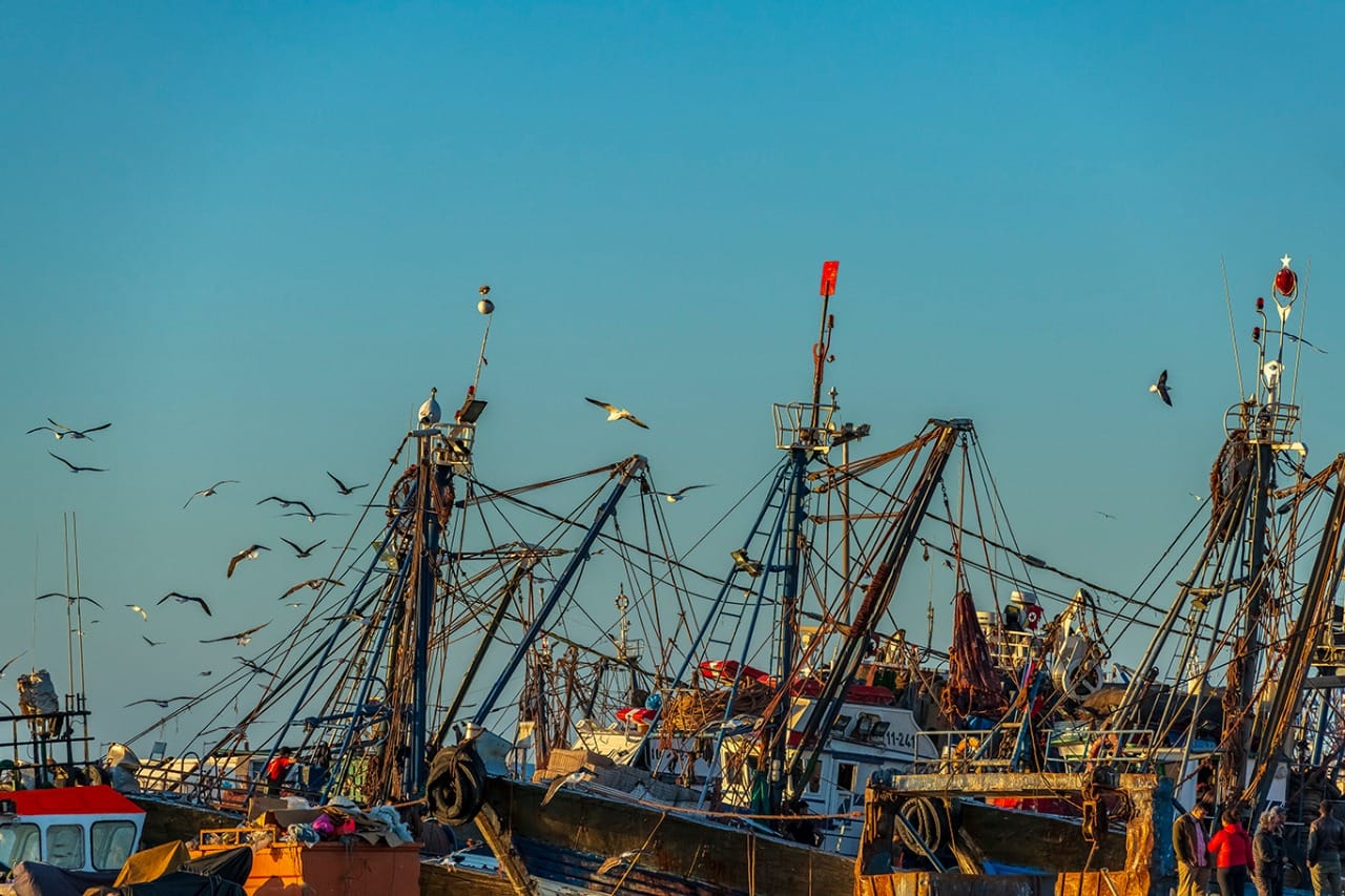 Agence de photographie / Agence Imaginium / Oussama Rhaleb / Photographe professionnel / Paysage / Morocco / Sud / Maroc / Dakhla / Assa / Photo / Esmara / Laayoun / Guelmim / nature / Desert / Guelmim / tan tan / Imlili / tourisme / maroc / Terfaya / / Rabat / Casablanca / Photo Magazine / Patrimoine / publicité / Historique / Histoire / Dunes / Sud maroc / Sahraoui / Artisanat / shooting / Patrimoine / publicité / fish / poisson / pêche / pêcheur / fisherman / mer / océan