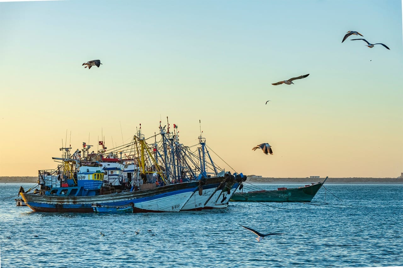 Agence de photographie / Agence Imaginium / Oussama Rhaleb / Photographe professionnel / Paysage / Morocco / Sud / Maroc / Dakhla / Assa / Photo / Esmara / Laayoun / Guelmim / nature / Desert / Guelmim / tan tan / Imlili / tourisme / maroc / Terfaya / / Rabat / Casablanca / Photo Magazine / Patrimoine / publicité / Historique / Histoire / Dunes / Sud maroc / Sahraoui / Artisanat / shooting / Patrimoine / publicité / fish / poisson / pêche / pêcheur / fisherman / mer / océan