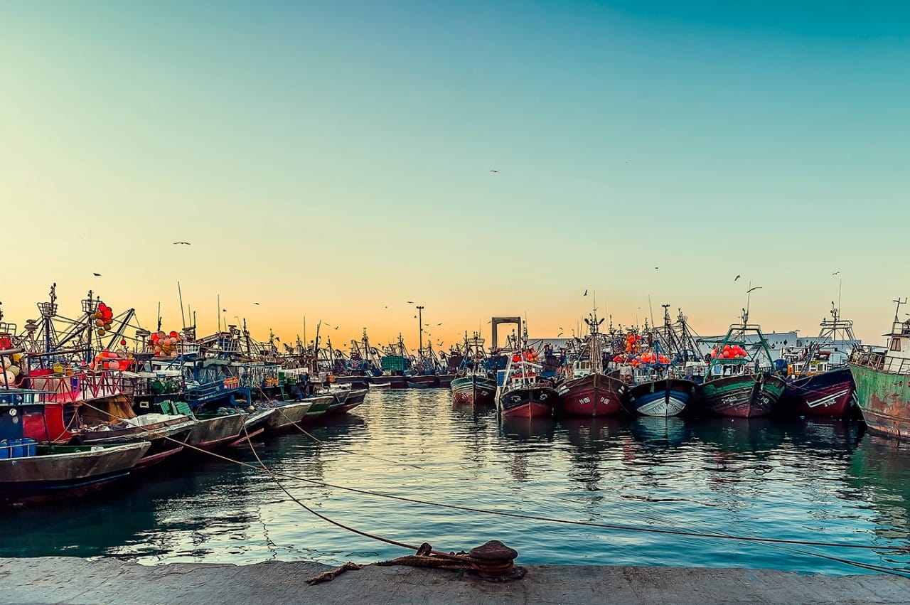 Agence de photographie / Agence Imaginium / Oussama Rhaleb / Photographe professionnel / Paysage / Morocco / Sud / Maroc / Dakhla / Assa / Photo / Esmara / Laayoun / Guelmim / nature / Desert / Guelmim / tan tan / Imlili / tourisme / maroc / Terfaya / / Rabat / Casablanca / Photo Magazine / Patrimoine / publicité / Historique / Histoire / Dunes / Sud maroc / Sahraoui / Artisanat / shooting / Patrimoine / publicité / fish / poisson / pêche / pêcheur / fisherman / mer / océan