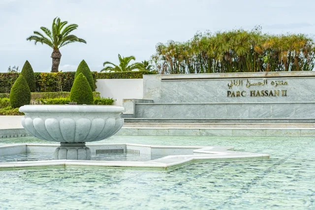 Photo d’Agence : Sublimez Votre Entreprise avec des Visuels Professionnels