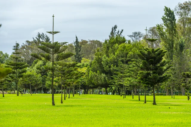 Photographe Rabat, Photographe Casablanca, Photographe Maroc, Photographe professionnel, photo d agence
