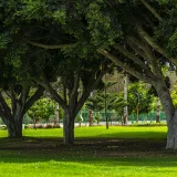 Photographe Rabat, Photographe Casablanca, Photographe Maroc, Photographe professionnel, photo d agence