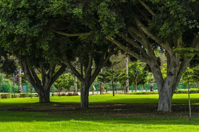 Photographe Rabat, Photographe Casablanca,
Photographe Maroc,
Photographe professionnel,
photo d agence 