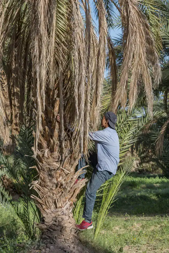 Photographe Rabat, Photographe Casablanca, Photographe Maroc, Photographe professionnel, photo d agence