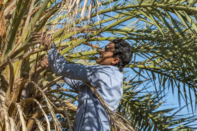 Photographe Rabat, Photographe Casablanca,
Photographe Maroc,
Photographe professionnel,
photo d agence 
